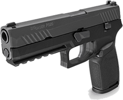 Denali Armory Handgun